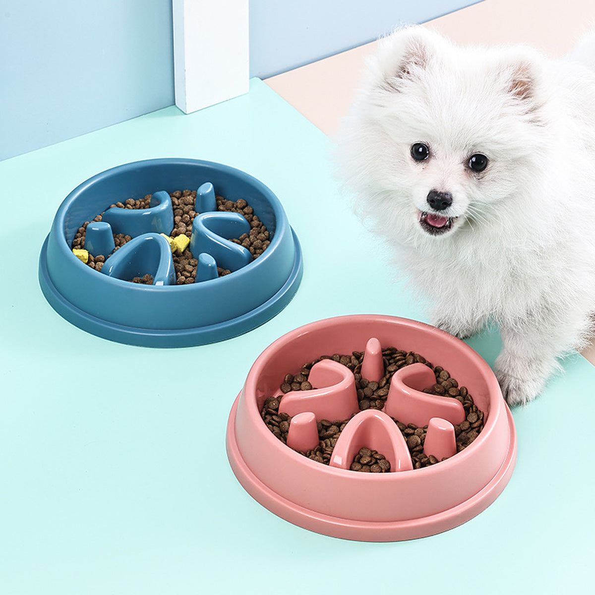 Blue and pink slow feeder bowls shown with a small dog