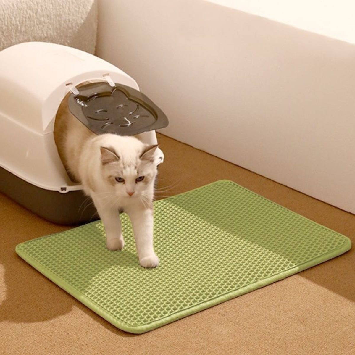 Double-Layer EVA Cat Litter Trapping Mat, 45 × 60 cm - image 4